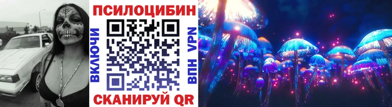Галлюциногенные грибы Psilocybe Мегион