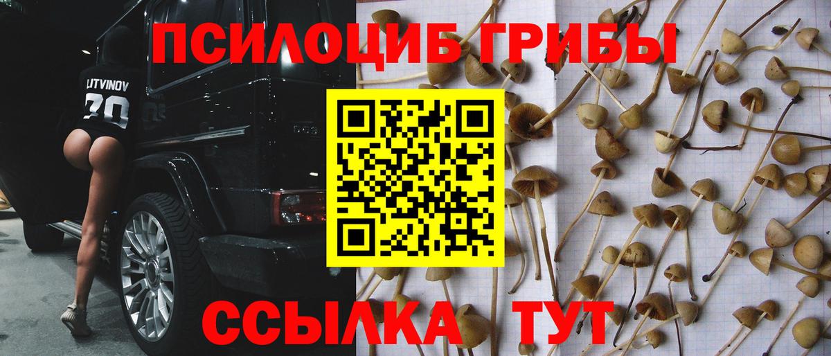 Псилоцибиновые грибы мухоморы Мегион