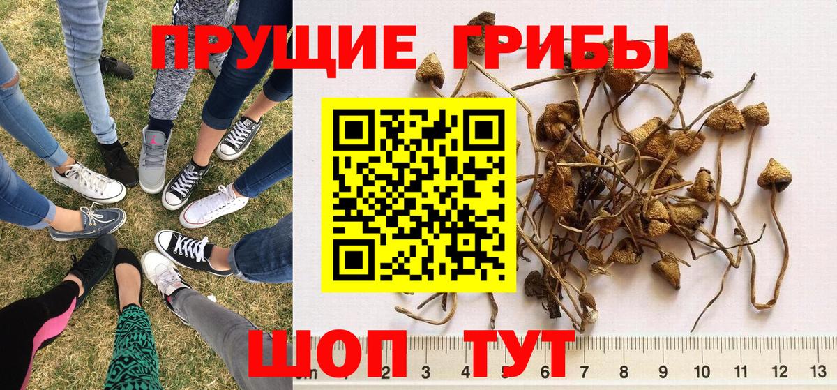 Мегион  Галлюциногенные грибы мухоморы  Вход с VPN 