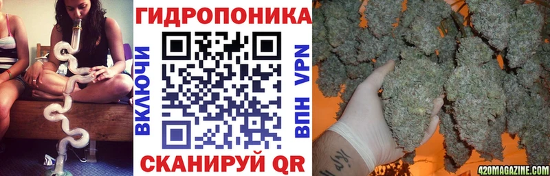 Канабис OG Kush  купить наркотики сайты  Мегион 